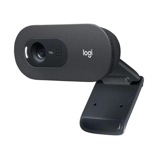 Logitech C505 HD Webcam - 1