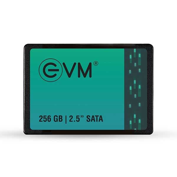 EVM 256GB Internal SSD 2.5" INCH SATA - 1