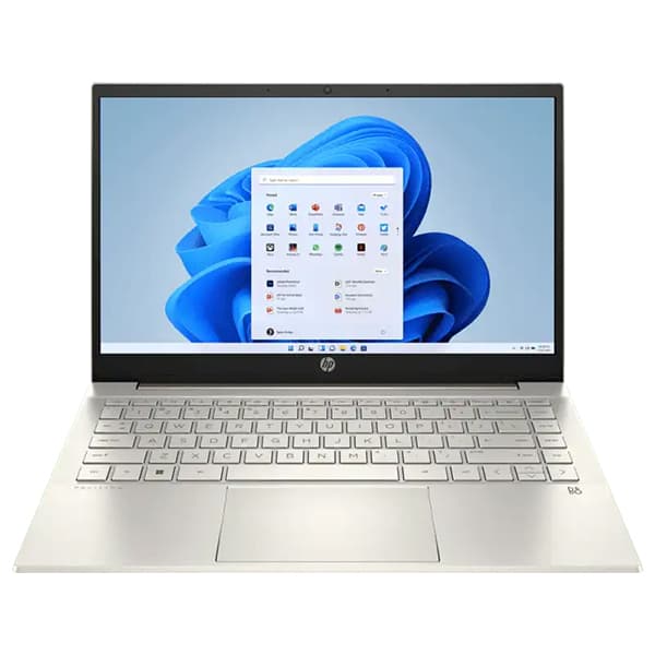 HP Pavilion Laptop 14 (dv2019TU) - 1
