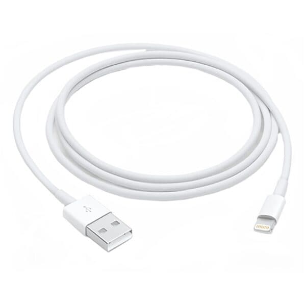 Apple Lightning to USB Cable (1M) - 1