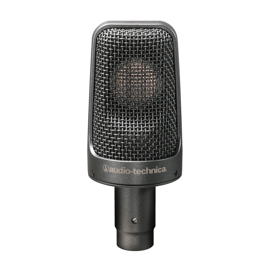 Audio-Technica AE3000 Instrument Condenser Microphone