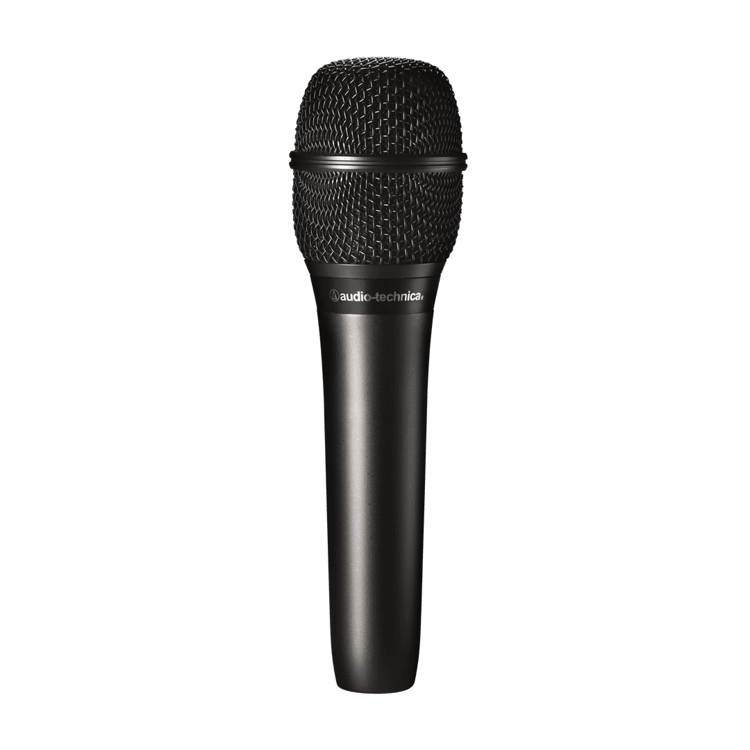 Audio-Technica AT2010 Hand-Held Condenser Microphone