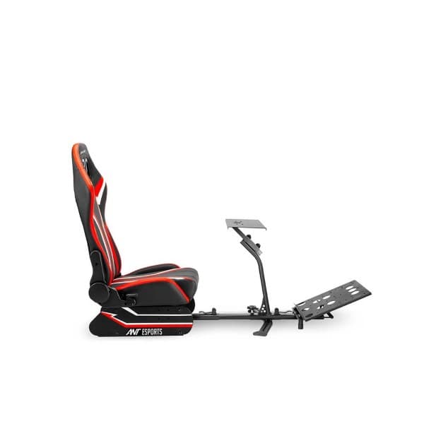 Ant Esports RC200 Racing Simulator Cockpit - 2