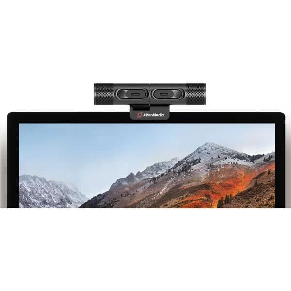 Avermedia PW313D Professional Dual WebCam - 3
