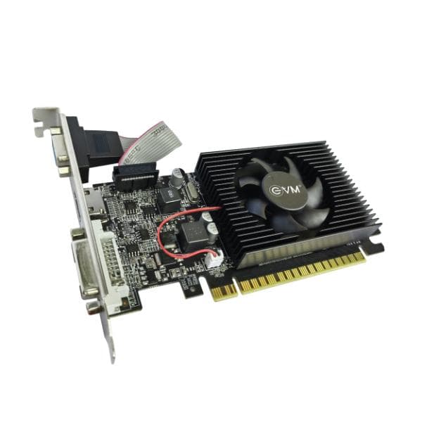 EVM Graphic Card GT 610 - 1