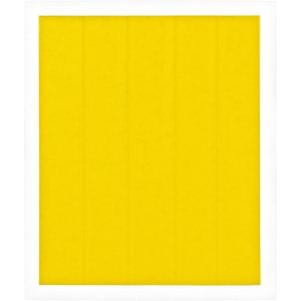 Thermal Grizzly Kapton Insulation Sheet - 3