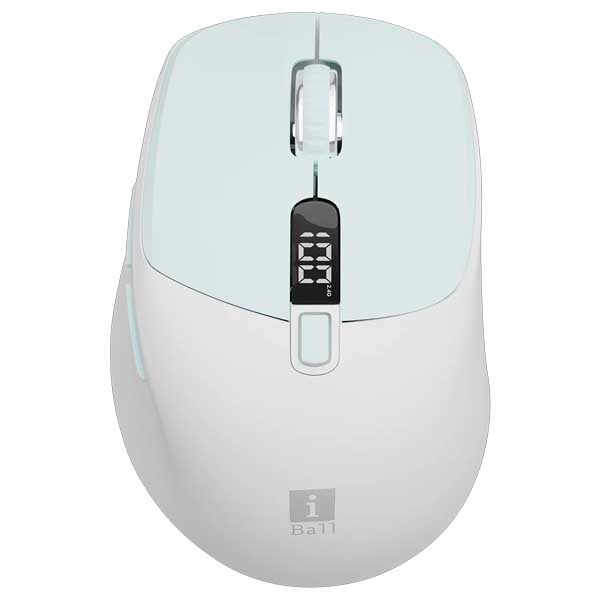 iBall GLIDR S300 Wireless Mouse (Sky Blue)