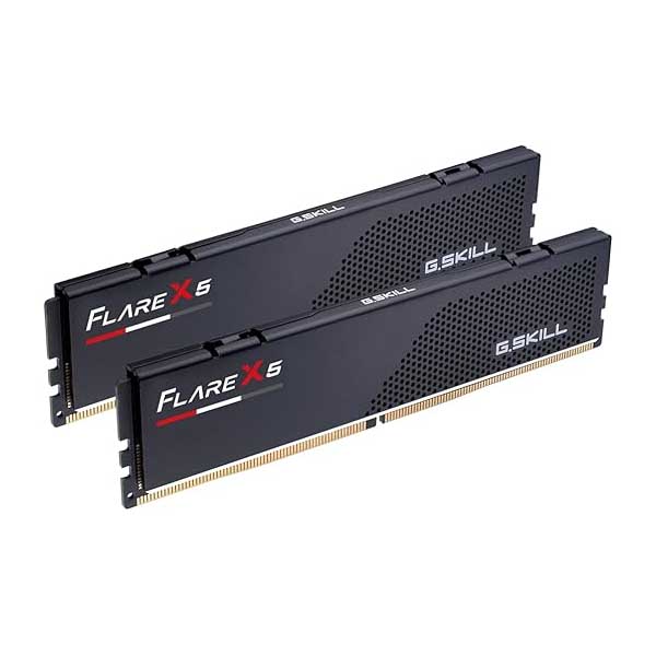 G.SKILL Flare X5 16GB (2 x 8GB) DDR5 6000MHz CL30 Desktop Memory