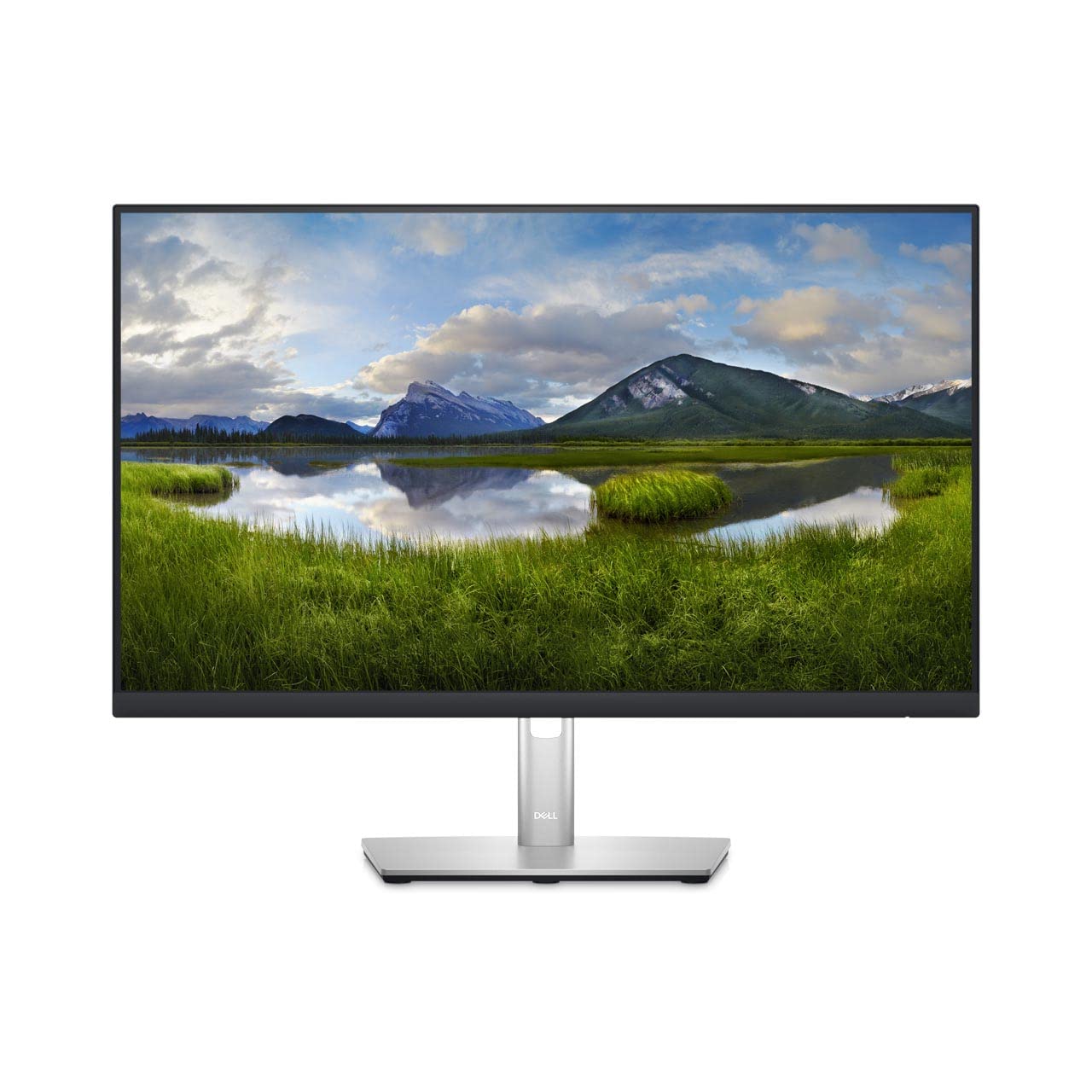 Dell-P2423D, 23.8" (60.45 cm), QHD 2560x1440 60 Hz  IPS-Panel Monitor