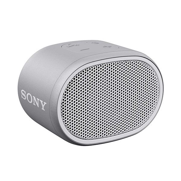Sony SRS-XB01 Wireless Bluetooth Portable Party Speaker (Gray)