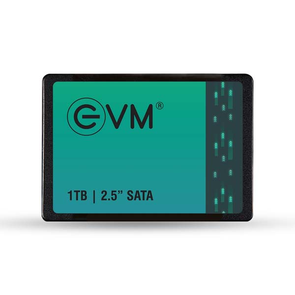 EVM 1TB 2.5-Inch SATA III Internal SSD