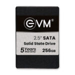 EVM 256GB Internal SSD 2.5" INCH SATA