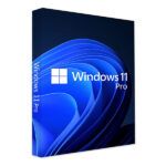 Windows 11 Pro OEM Key 2022 Version