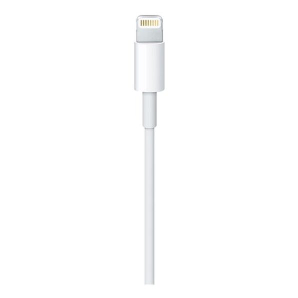 Apple Lightning to USB Cable 2