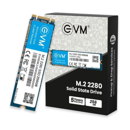 EVM 256GB M 2 2280 SSD 2