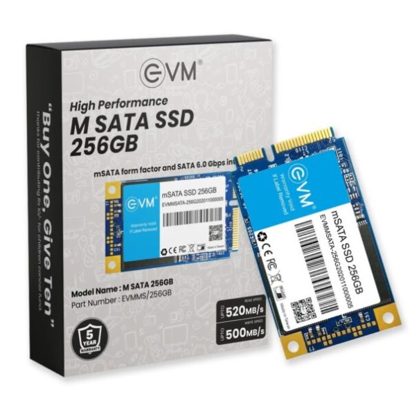 EVM M SATA 256GB SSD 2