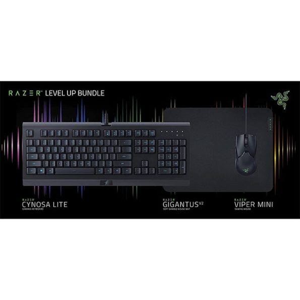 Razer Power Up Bundle