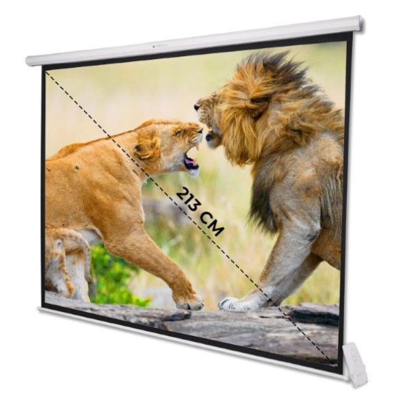 ZEBRONICS PSM84A Motorised Projector Screen