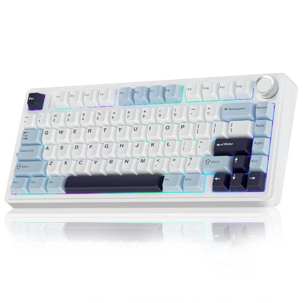 AULA F75 75% Wireless Mechanical Keyboard | Hot Swappable | Pre-lubed Linear Switches | RGB Backlit | 2.4GHz/Type-C/Bluetooth Gaming Keyboard (Keyboard, Ice Blue+Reaper Switch)