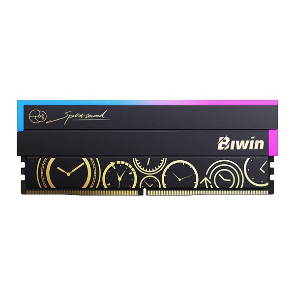 Buy Biwin Black Opal OC Lab Gold Edition DW100 192GB (48GBx4